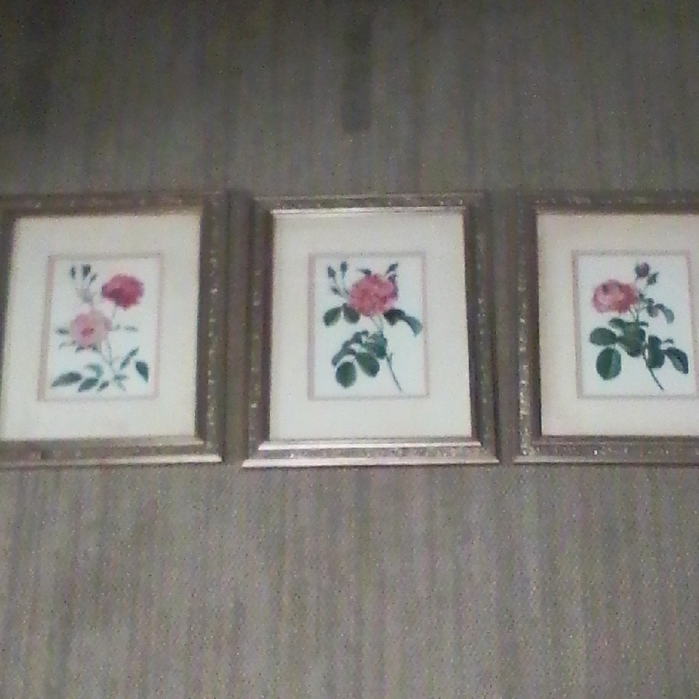 Antique Floral Art Print Set with Gold Frames